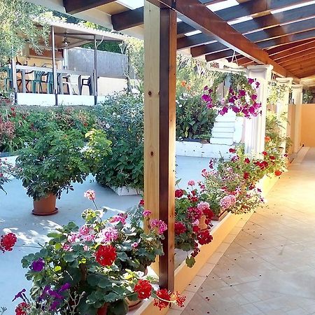 Marika Garden Studios Moraitika Exterior photo